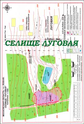 Селище-Луговая
