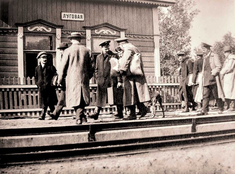 Платформа Луговая до революции. 1914-15